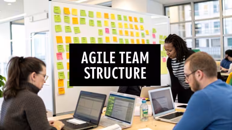 Agile Development Team Structure