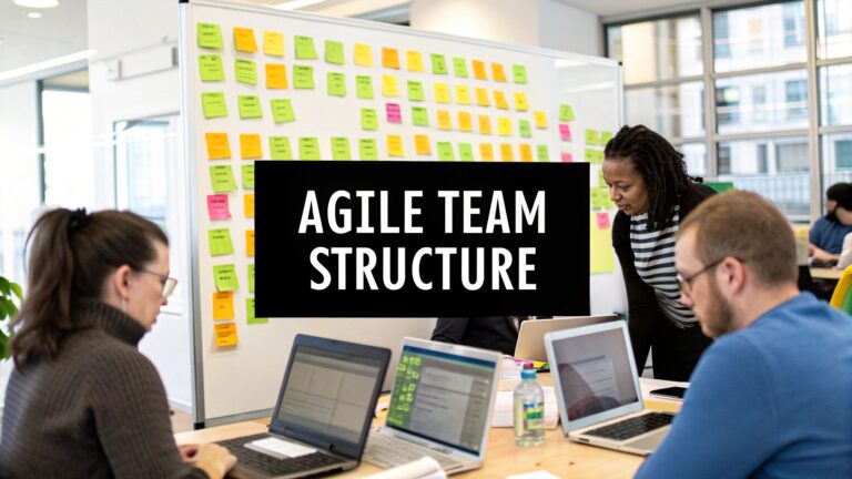 Agile Development Team Structure